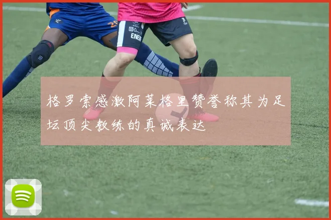 格罗索感激阿莱格里赞誉称其为足坛顶尖教练的真诚表达